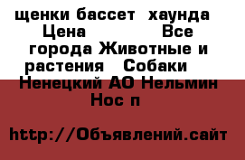 щенки бассет- хаунда › Цена ­ 20 000 - Все города Животные и растения » Собаки   . Ненецкий АО,Нельмин Нос п.